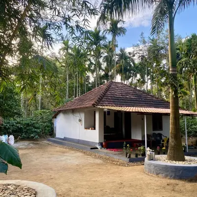 a small white house with a palm tree at Carta Blanca in Mananthavady