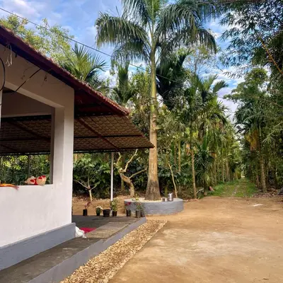 a porch of a house with palm trees in the background at Carta Blanca in Mananthavady