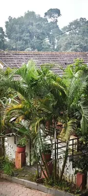 a group of palm trees in front of a building at GIRASSOL the hill villa in Vythiri
