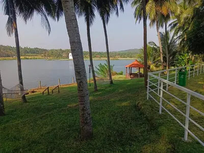 a group of palm trees next to the water at Bharathapuzha resort in Kārakkād