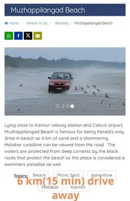 a car driving on a beach with birds on it at Kadal boutique beach stay in Green Island