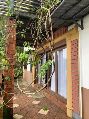 an outside view of a building with a tree at Kadal boutique beach stay in Green Island