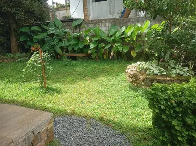 a garden with a bench and some plants at Kadal boutique beach stay in Green Island