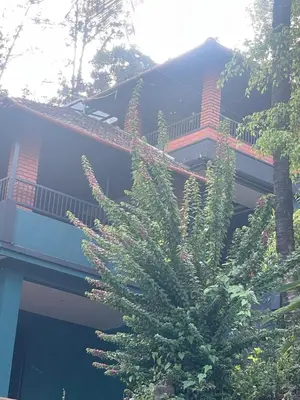 a tree with pink flowers in front of a building at CASTELLO Holiday Villa in Kalpetta