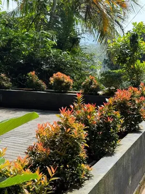 a garden with flowers and plants on a sidewalk at CASTELLO Holiday Villa in Kalpetta