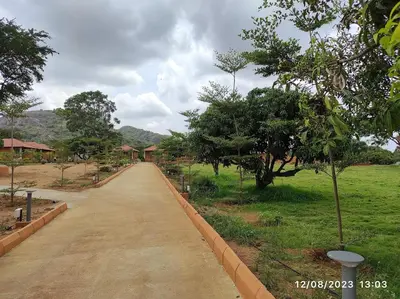a dirt road leading to a field with trees at V Nature Resorts in Kanakapura