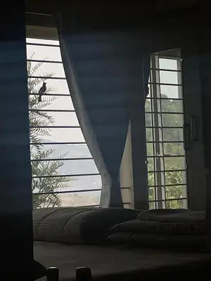 two beds in a room with two large windows at Casa De KCN in Kotagiri