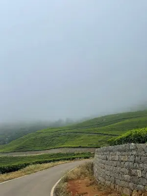a road in a field with a stone wall at Casa De KCN in Kotagiri