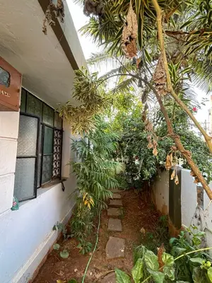 a house with a bunch of plants on the side of it at Sogni D oro in Mysore