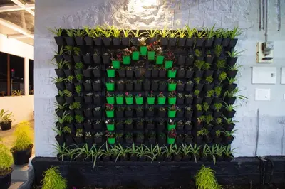 a vertical garden with plants in green cups at Cloud Five in Munnar