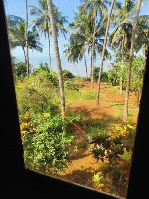 a window view of a field with palm trees at Casa Shanti in Kannur