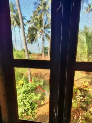 a window with a view of a palm tree at Casa Shanti in Kannur