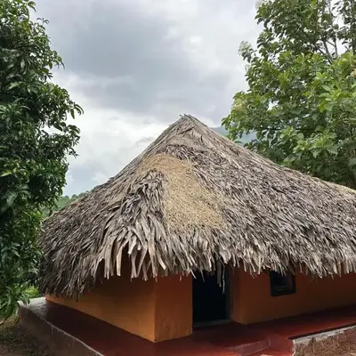 Jungle Farm House
