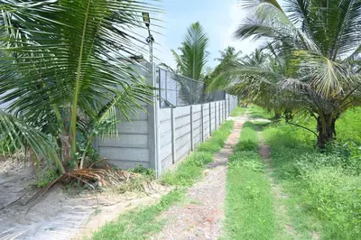 a fence next to a dirt road with palm trees at Bhuvi farm & homestay in Channapatna