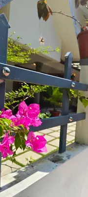 a blue bench with pink flowers next to it at joys villa self service villa in Cherai Beach