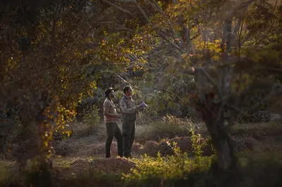 two people are standing in a forest at Coorg Wild Walk, Nagarhole - A CGH Earth SAHA Experience in Srimangala