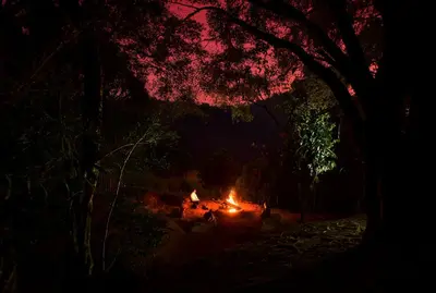 a fire pit in the middle of a forest at night at Toroland Munnar in Viripara