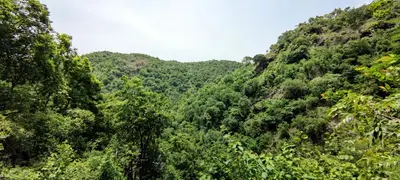 auliculiculiculiculiculiculiculiculiculiculiculiculiculiculic at wild grove resorts in Varagampadi