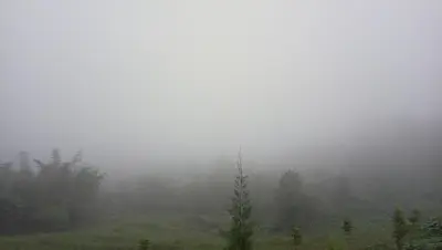 a foggy field with trees in the background at wild grove resorts in Varagampadi