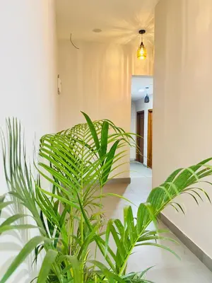 a plant in the middle of a hallway at Marhaba inn in Kozhikode