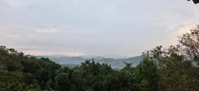 a view of a forest with mountains in the distance at Mountain View Villas in Madikeri