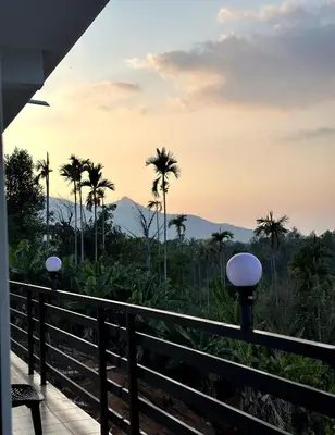 a view from the balcony of a resort with palm trees at mountain lake view private pool villa -Wayanad in Meppādi