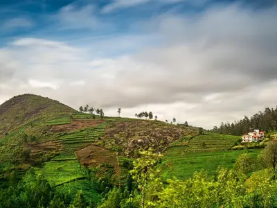 auliculiculiculiculiculiculiculiculiculiculiculiculiculiculic at Green Nest Resort Ooty in Kotagiri