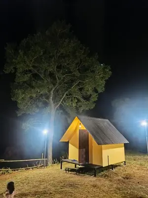 a small house with a tree in a field at night at Mount Camp in Marayoor