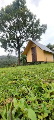 a small house in a field with a tree at Mount Camp in Marayoor