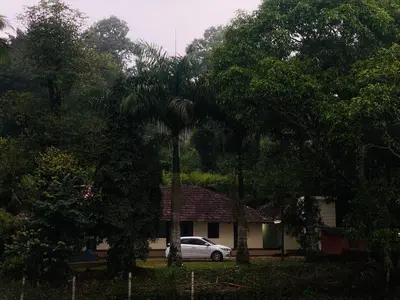 a car parked in front of a house with a palm tree at Wintervilla Cottages in Meppādi