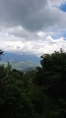 a view of a forest of trees with a view at Nomadcasa Rooms in Kanthalloor