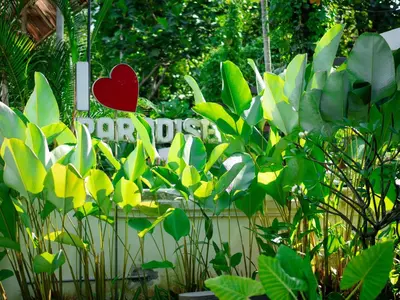 a garden with green plants and a sign with a heart at Paradise Homestay in Alwaye