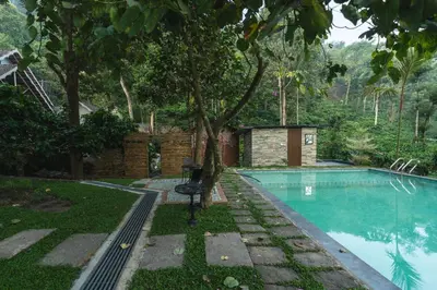 a swimming pool in a yard with a tree at Bougainville, Wayanad in Kalpetta