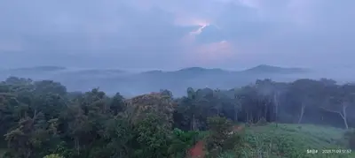 a misty hillside with trees in the foreground at View Point Stay Coorg in Madikeri