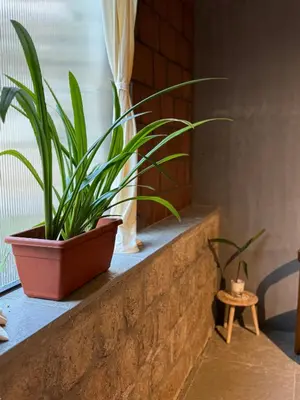 a plant in a pot sitting on a ledge at Rustic Nestle, Tirupur in Tiruppūr