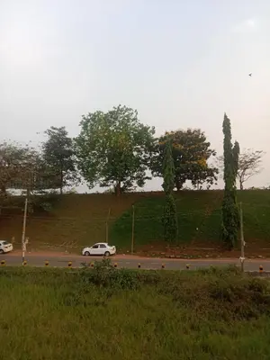 a white car driving down a road next to trees at Airport Tree in Nedumbassery