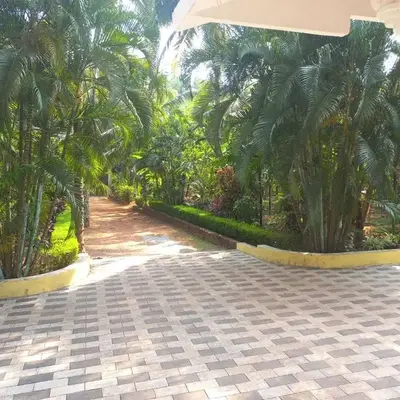 greenview homestay Mayyil