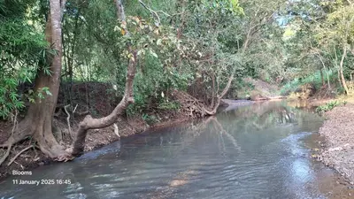 a river with trees on the side of it at Blooms Aquatica in Kenichira