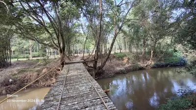 a wooden bridge over a river in a forest at Blooms Aquatica in Kenichira