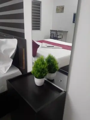 two potted plants sitting on a table next to a bed at calicut residency in Kozhikode
