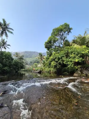 a river with rapids in the middle of a forest at Diya Homestay Mamalakandam in Mamalakandam
