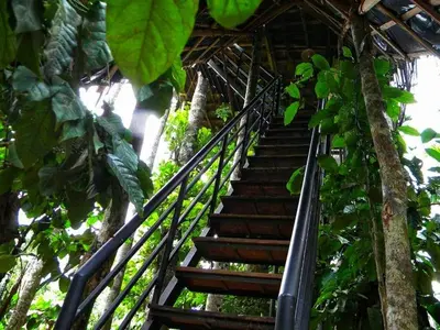 a spiral staircase in a forest with trees at Greens Tree House & Wood House in Sultan Bathery
