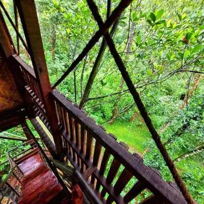 an overhead view of a forest from a tree house at Greens Tree House & Wood House in Sultan Bathery