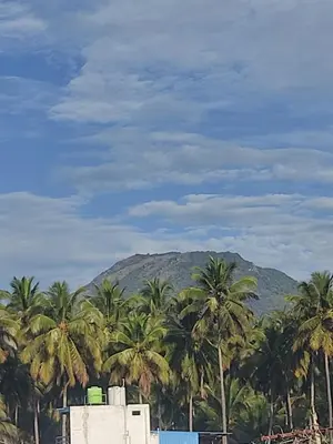 a group of palm trees with a mountain in the background at Jeevakanthan Home Stay in Alāndurai