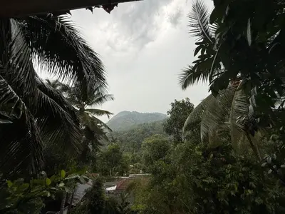 a view of a valley with mountains and palm trees at JOHNS VILLAGE Resorts in Vallikavungal