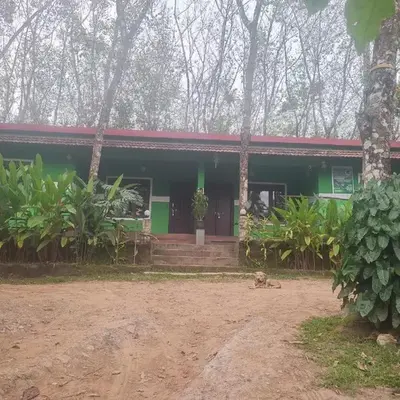 Green wayanad homestay