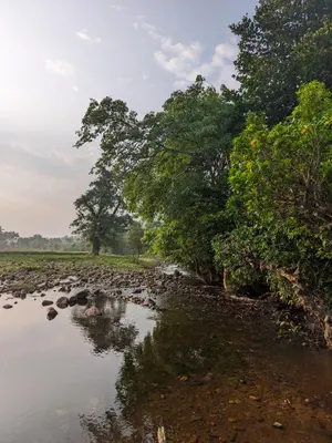 a river with trees on the side of it at Milu Homes in Thirunelli