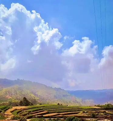 a view of a field with a mountain in the background at Cocoon Creek in Kodaikānāl
