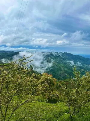 a view of a mountain with clouds in the distance at Cocoon Creek in Kodaikānāl