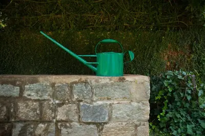 a green bucket sitting on top of a brick wall at The School Estate in 100 Acres in Siddapur